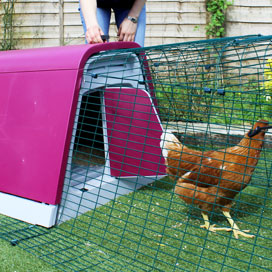 Operating the front door of an Eglu Go chicken house.