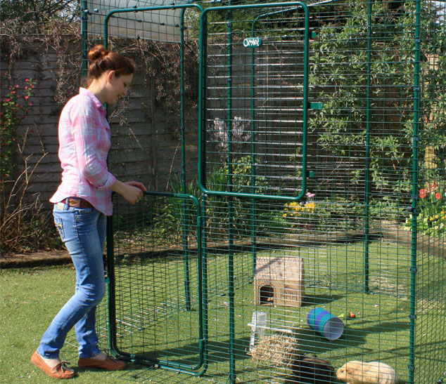 vrouw opent de deur in staldeurstijl van de buitenren voor cavia's