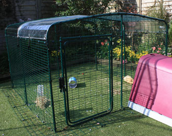 A Clear Cover for your run roof will keep pet guinea pigs dry whilst letting in sunlight.