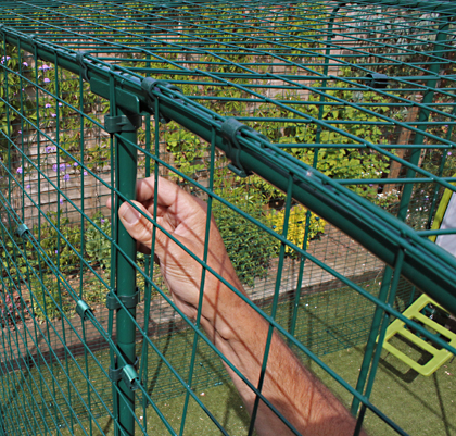 Close up of the steel mesh that makes up the Omlet walk in chicken run.