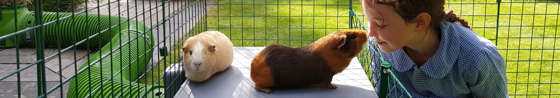 cavia neus-aan-neus met meisje