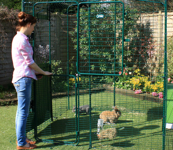 Inloopren voor konijnen |Ruime voor konijnen | Omlet
