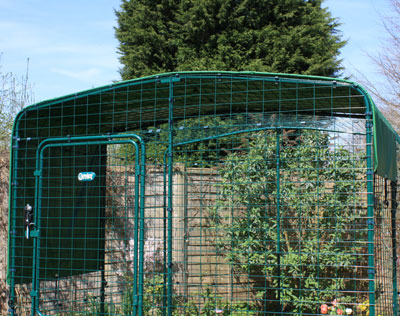 The Outdoor Guinea Pig Run with a heavy duty roof cover