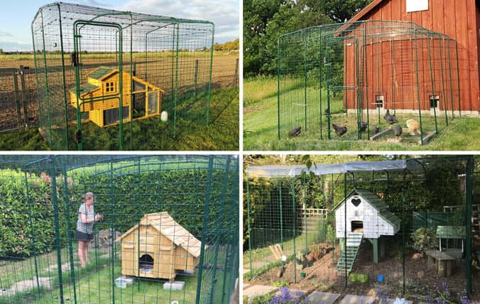 houten kippenhokken verbonden met een omlet inloopren voor kippen