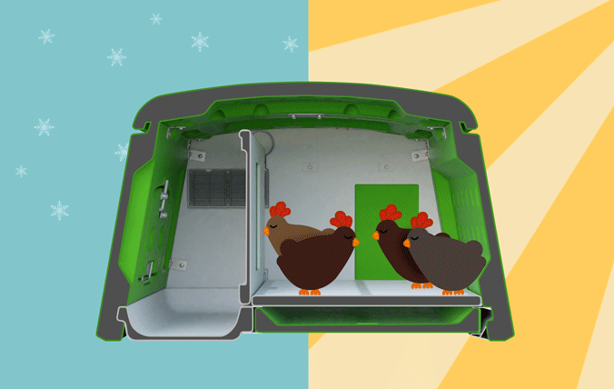 Geschikt voor alle weeromstandigheden, houdt kippen warm in de winter en koel in de zomer