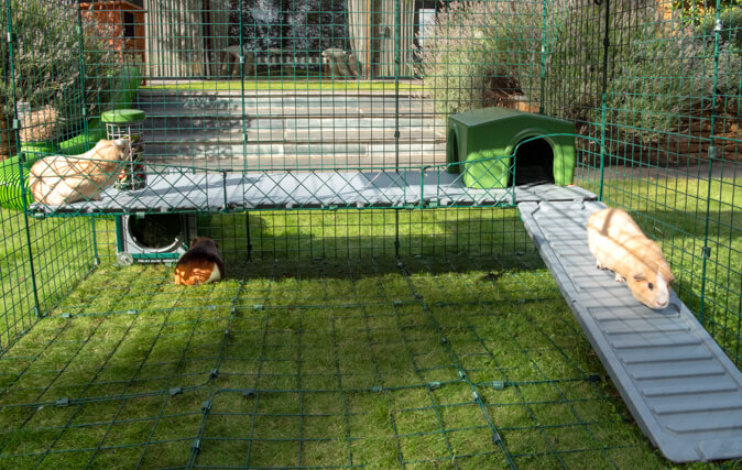 Pets Can Use All Year, With Insulated Panels and Shade Below