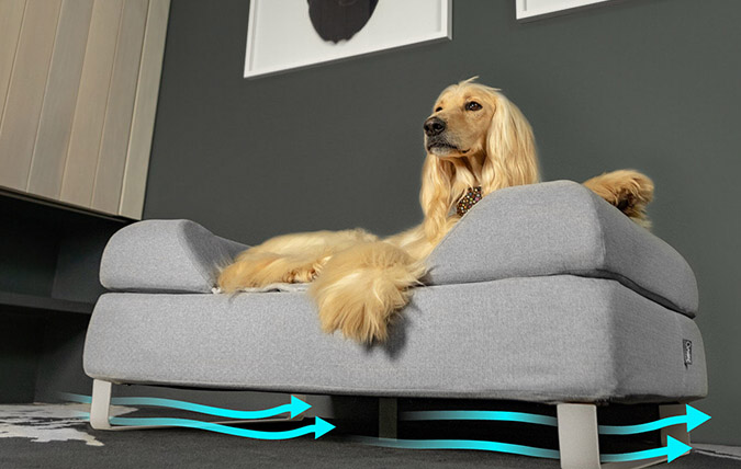 Hond ligt in met pootjes verhoogde topology hondenmand voor verbeterde luchtstroom en hygiëne