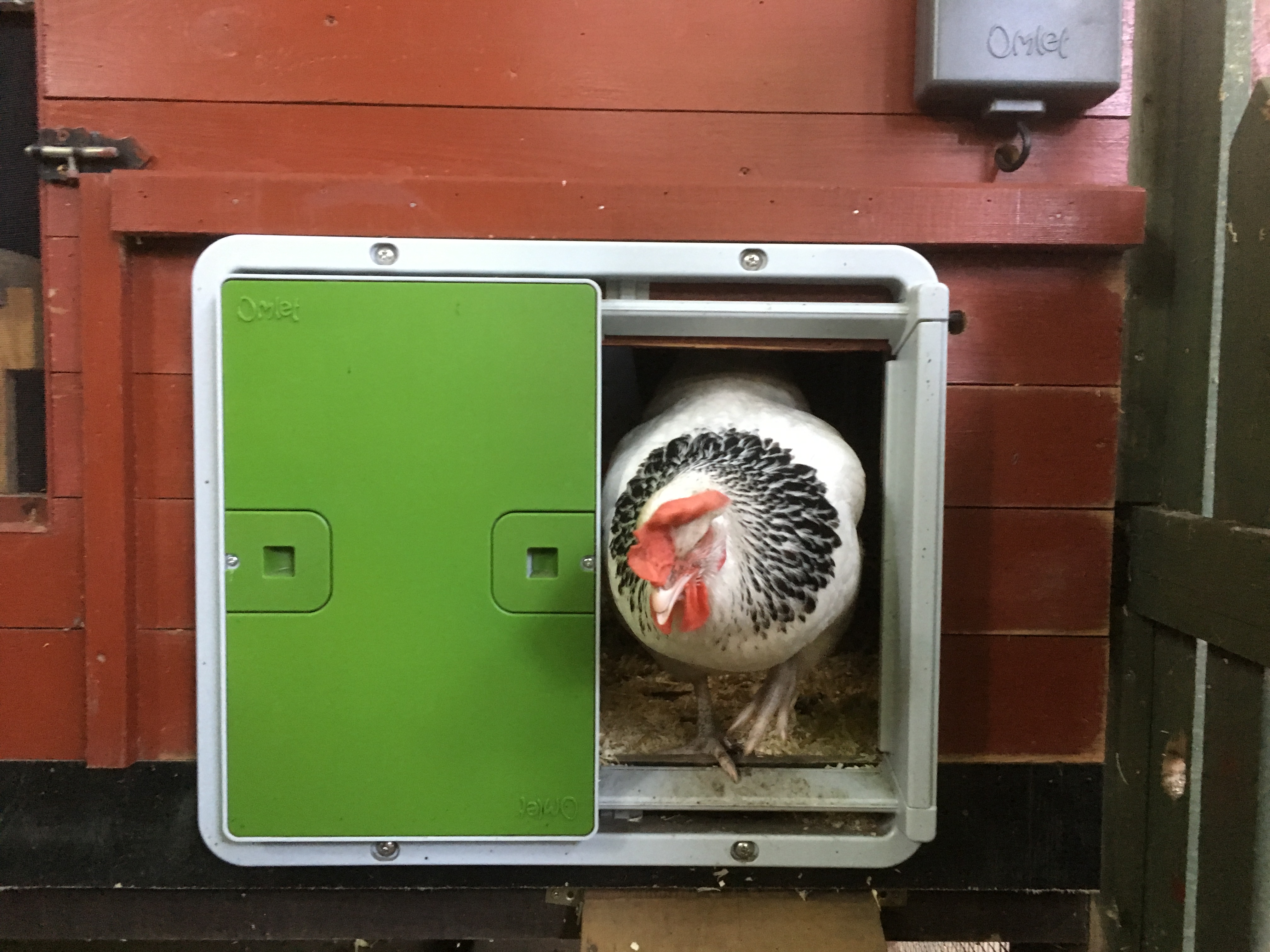 Beoordelingen Voor Omlets Automatische Deur Kippen Omlet