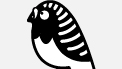 bird icon
