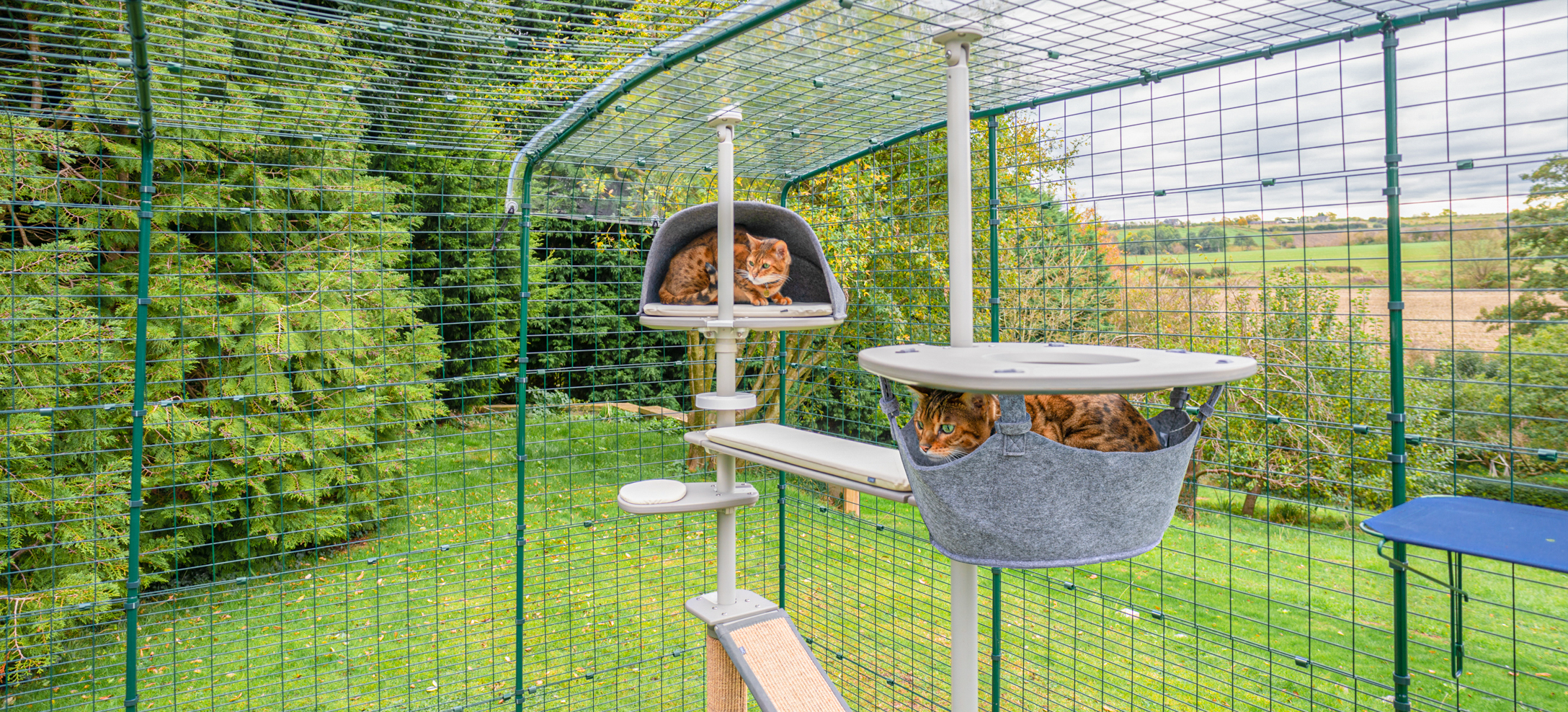 katten relaxen in een holletje en hangmat in outdoor kattenpaal