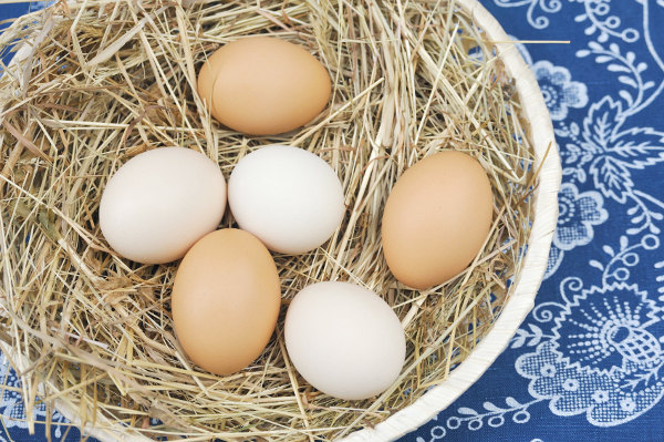 eieren uw eigen uitbroeden | Eieren uitzoeken | Uitbroeden