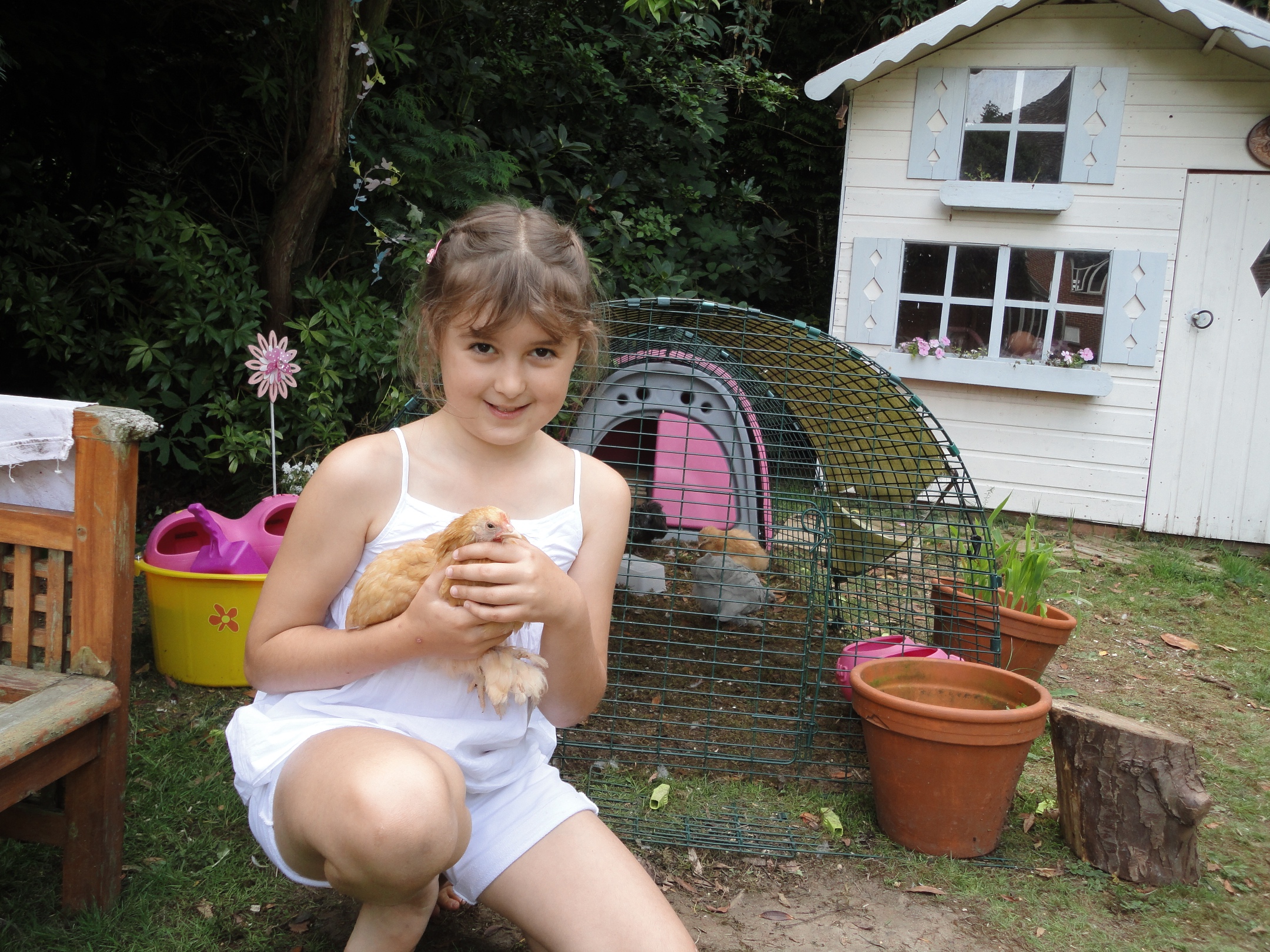 If your children handle your hens from chicks they will become very tame