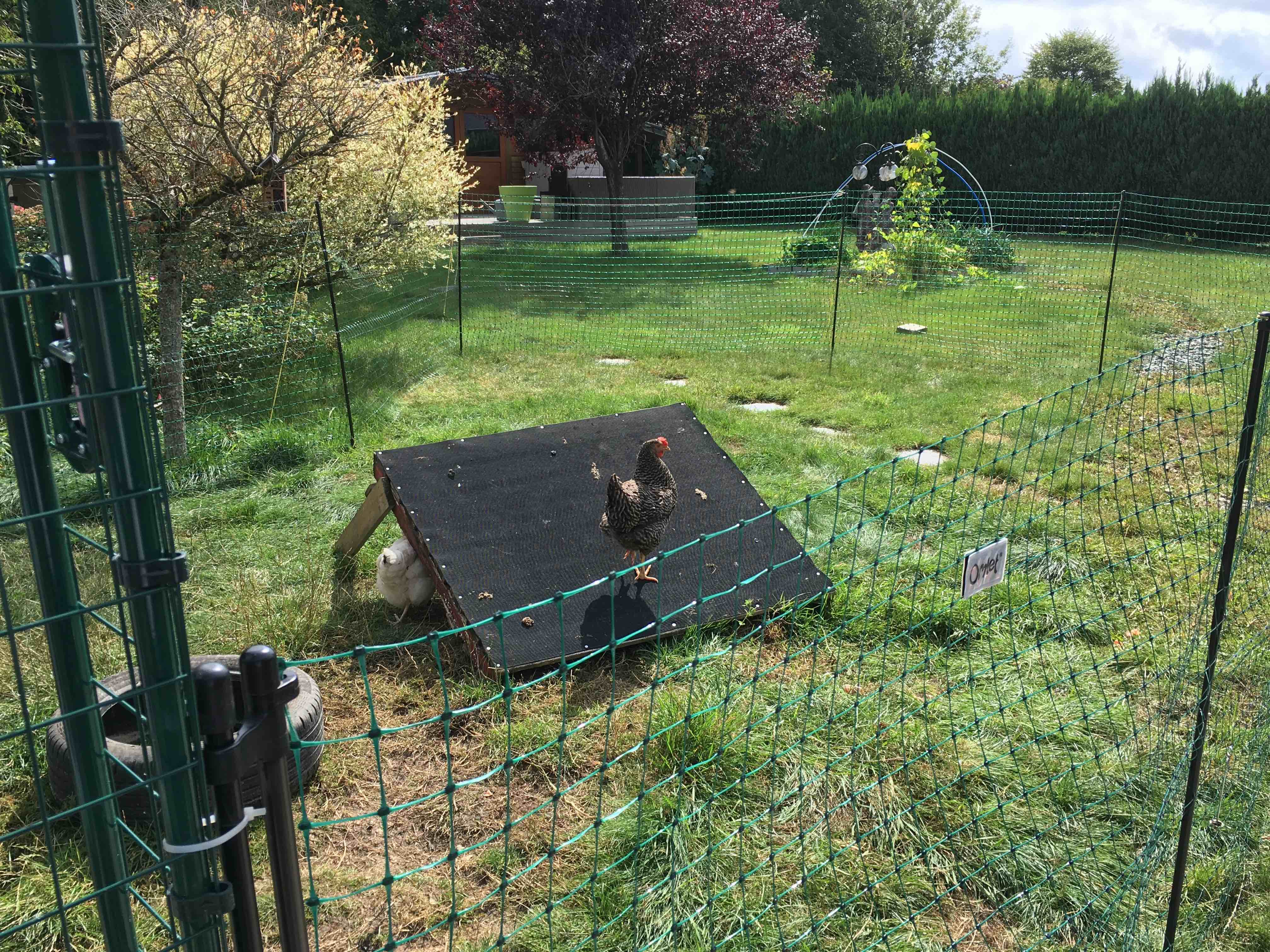 Omlet Afrastering Voor Kippen Pluimvee Netten Voor Kippen