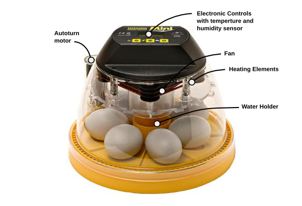The basic components of an incubator.