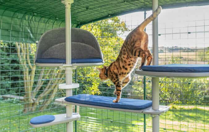 kat-speelt-in-de-hoge-grijze-kattenpaal-een-veilige-manier-om-in-de-kattenren-van-de-buitenlucht-te-genieten