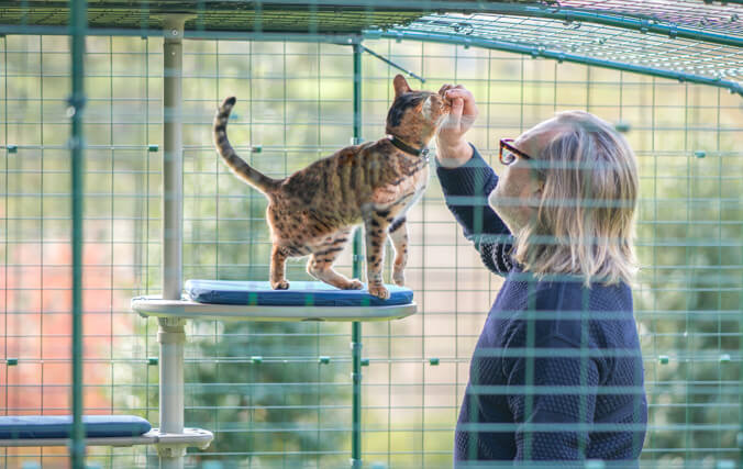 man en kat in buitenren genieten van de gepersonaliseerde waterbestendige hoge klimpaal voor katten
