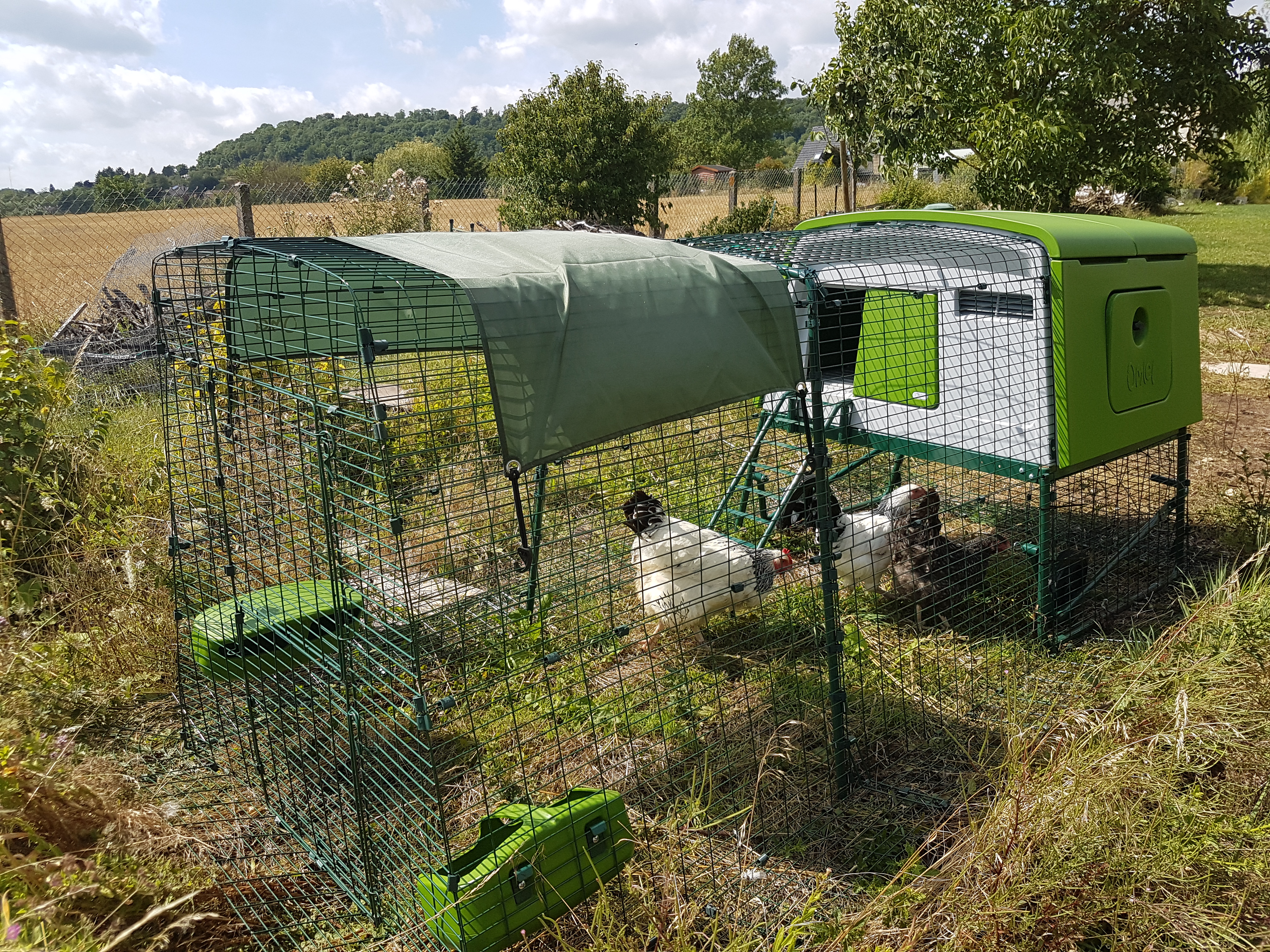 Simpel Kippenhok Maken Campina Kortingsbonnen