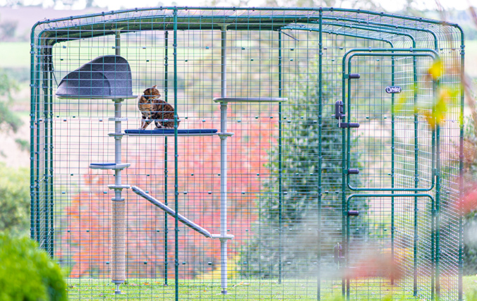 Kat in een grote kattenren voor buiten