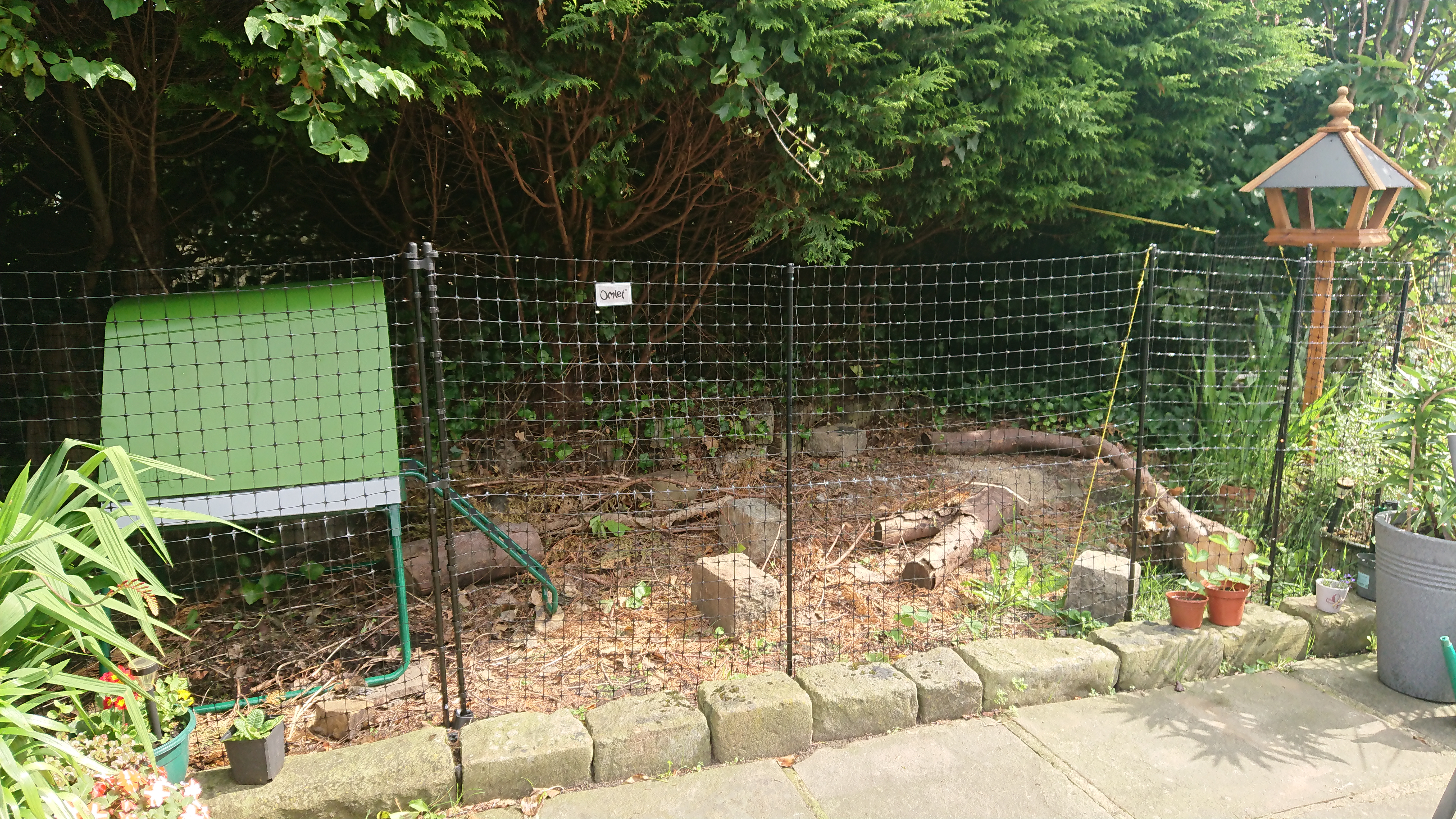 Omlet Afrastering Voor Kippen Pluimvee Netten Voor Kippen