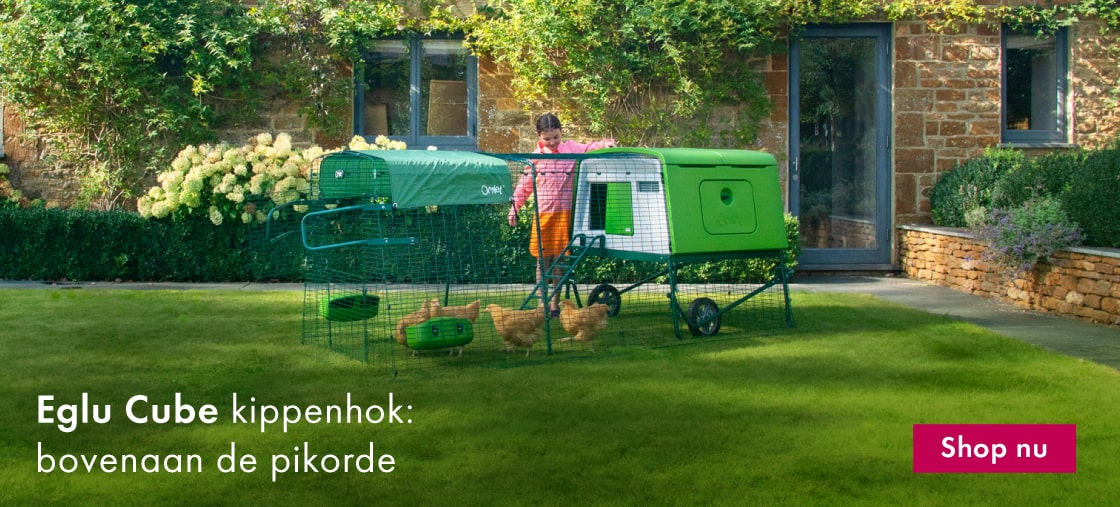 Omlet Eglu Cube