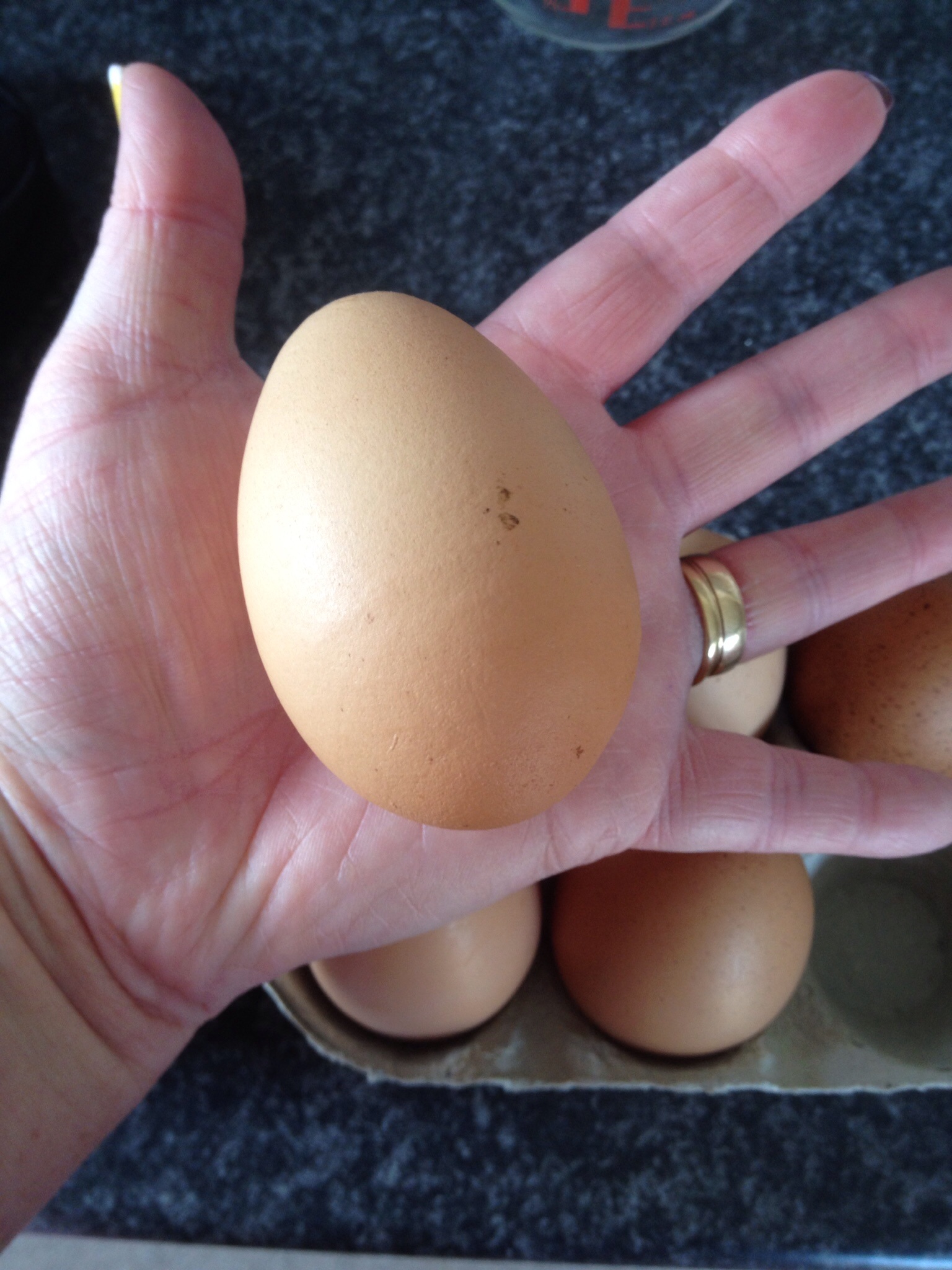 Rachel Sturman-Panter's Rhode Island Reds lay wonderful giant eggs