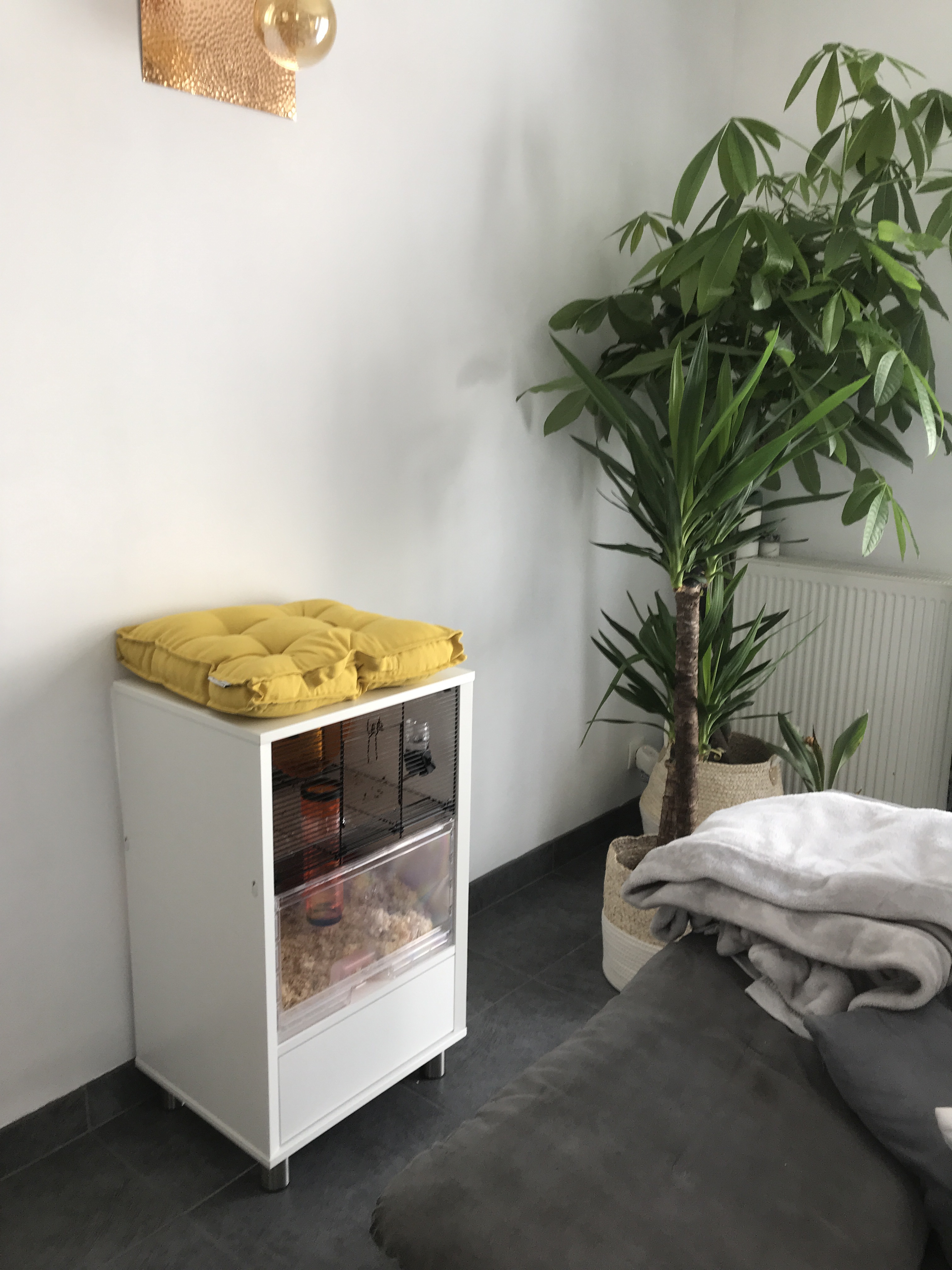 Qute kooi voor hamsters en gerbils Qute kooi voor hamsters en gerbils